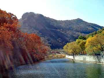 澳门天天开奖免费资料，永恒之地